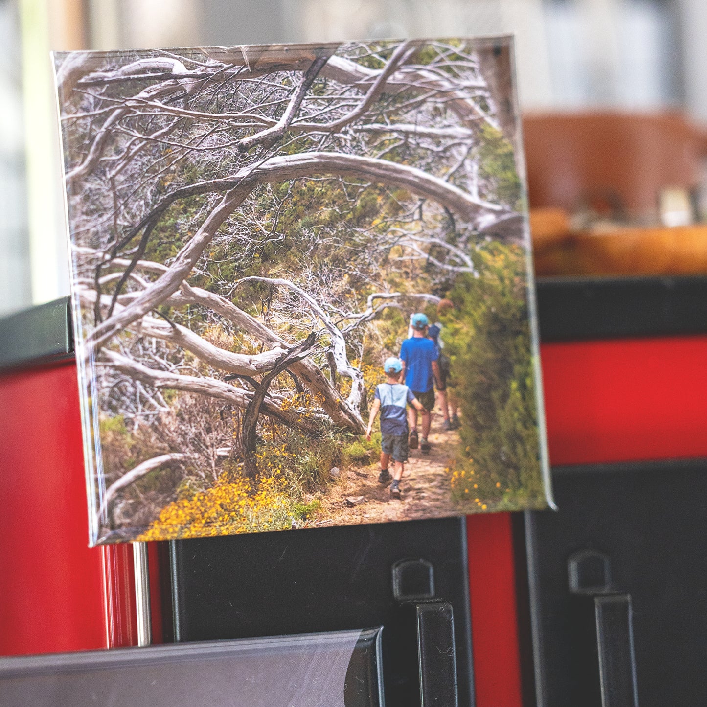 Fotomagnet mit deiner Erinnerung - Deine Bilder als Magnet