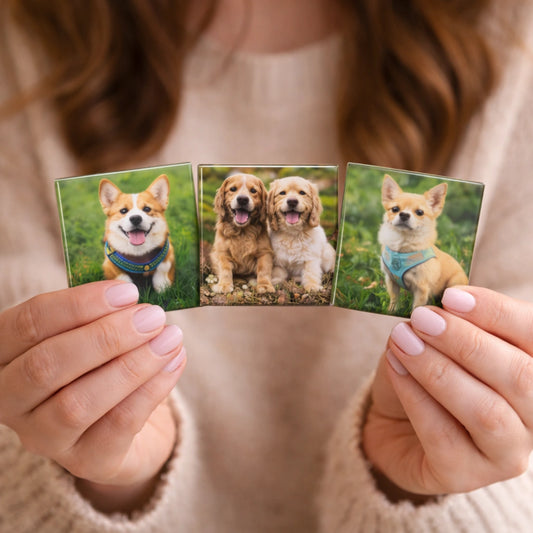 Dein Begleiter im Alltag von deinem Begleiter