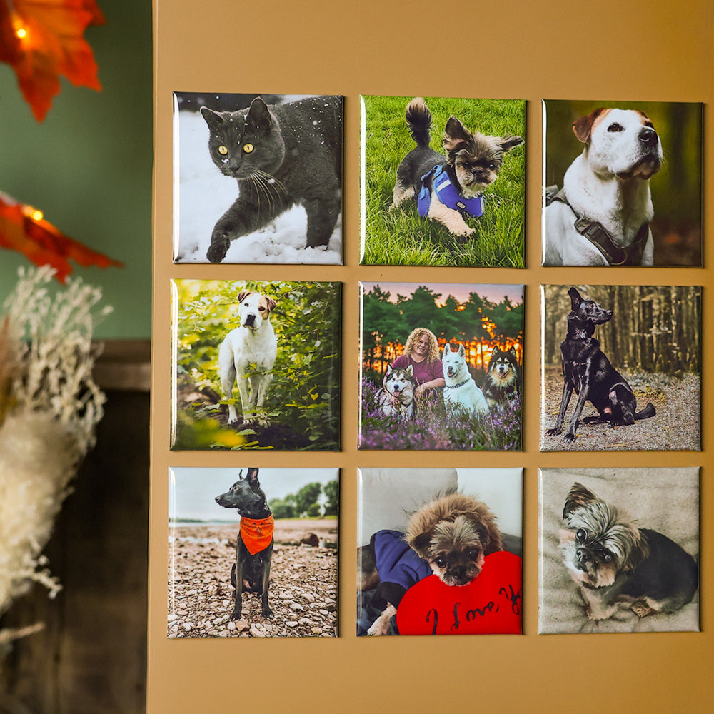 Quadratische Fotomagnete mit individuellen Tierfotos in einer 3×3-Anordnung an einer Wand